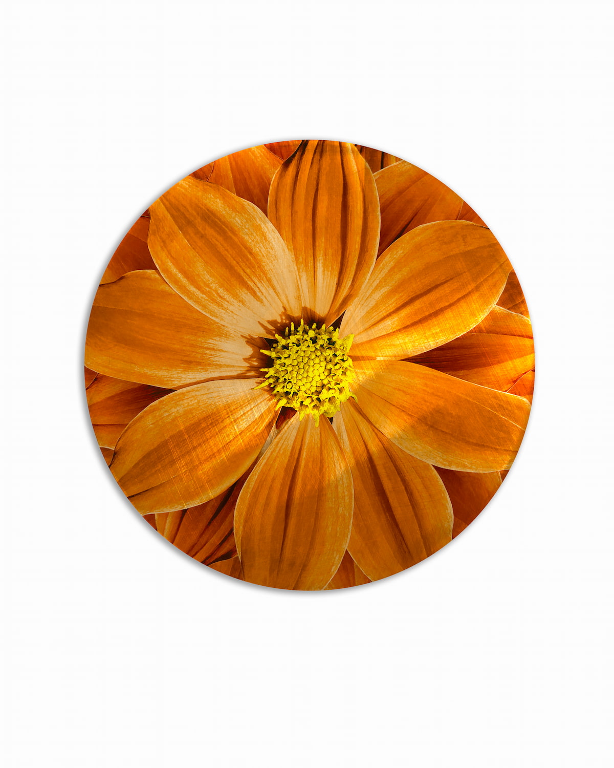 sottopiatto bouquet fiore arancio